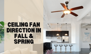 Ceiling Fan Direction in Fall Spring